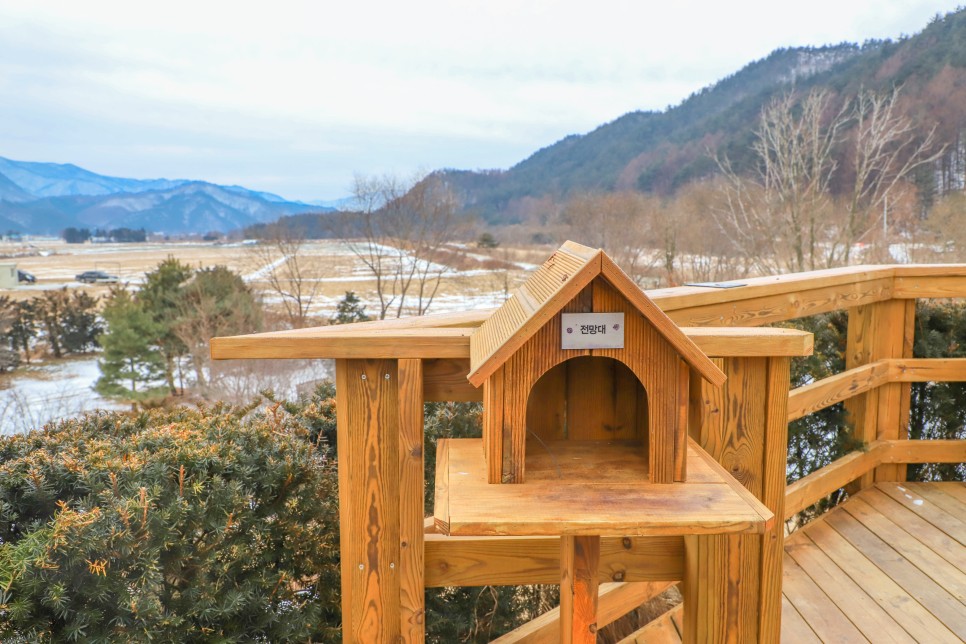 평창 가볼만한곳 베스트였던 겨울나들이