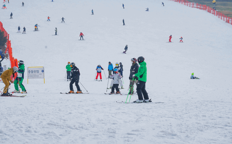 오크밸리 스키강습 어린이전문
