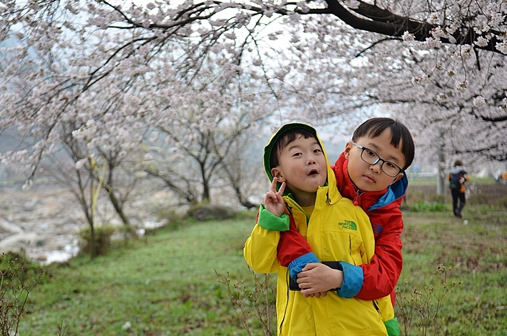 [랜선여행] 하동 쌍계사와 벚꽃 지난 여행의 추억