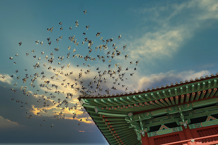 경주 가볼만한곳 월정교 주경과 야경 (보정사진)