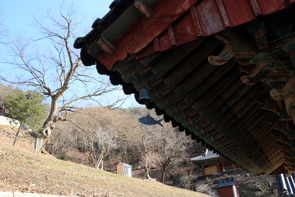 충남 여행 천년고찰 청양 장곡사