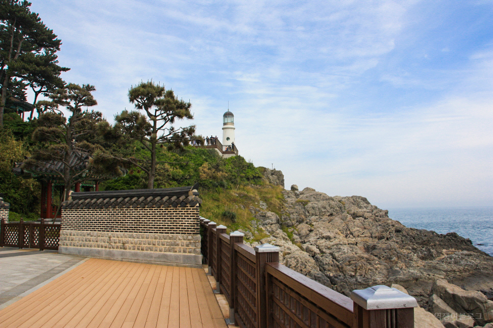 부산 가볼만한곳 태종대 등등 1박 2일 여행 으로도 추천