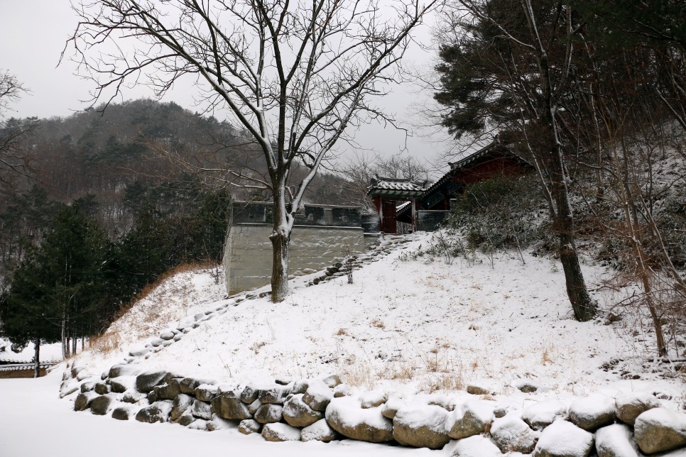 남미 여행 페루 마추픽추 2주 동안 다시 폐쇄된다