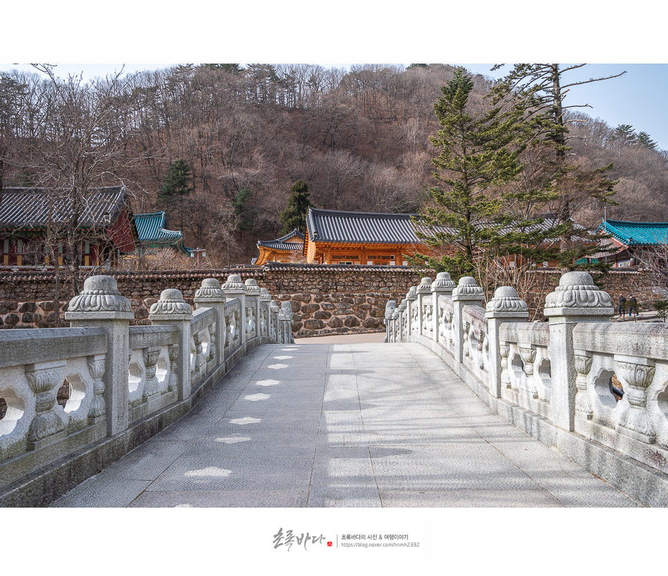 강원도 여행지 추천, 속초 드라이브코스 설악산 신흥사