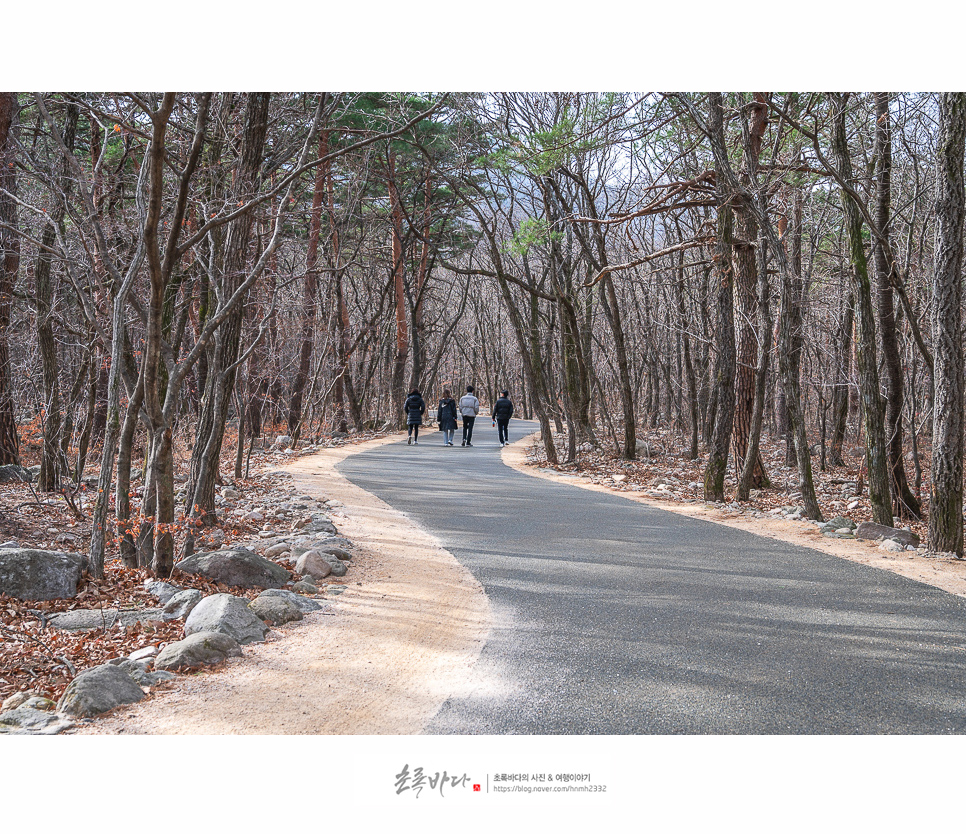 강원도 여행지 추천, 속초 드라이브코스 설악산 신흥사