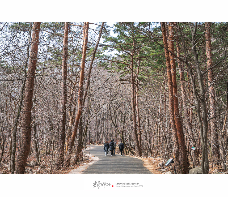 강원도 여행지 추천, 속초 드라이브코스 설악산 신흥사