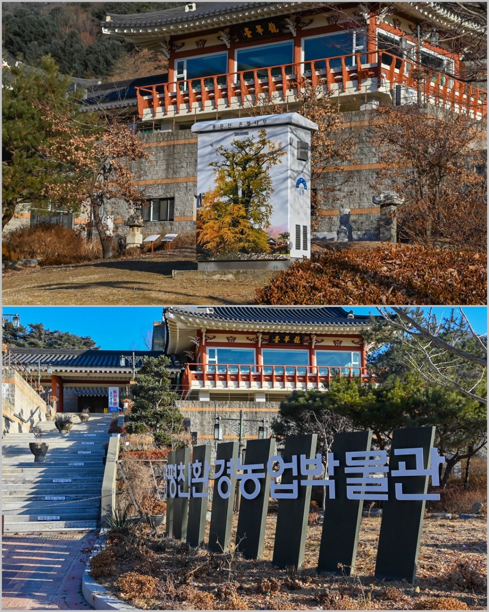 양평 드라이브 코스 용문산관광단지 양평용문사 보고 스벅까지