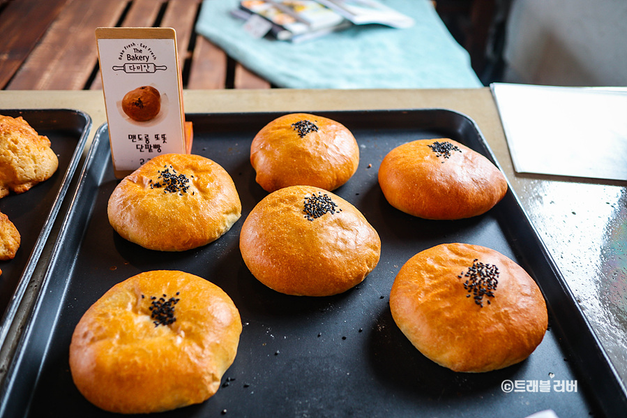 제주도 빵지순례 서귀포 빵집 다미안