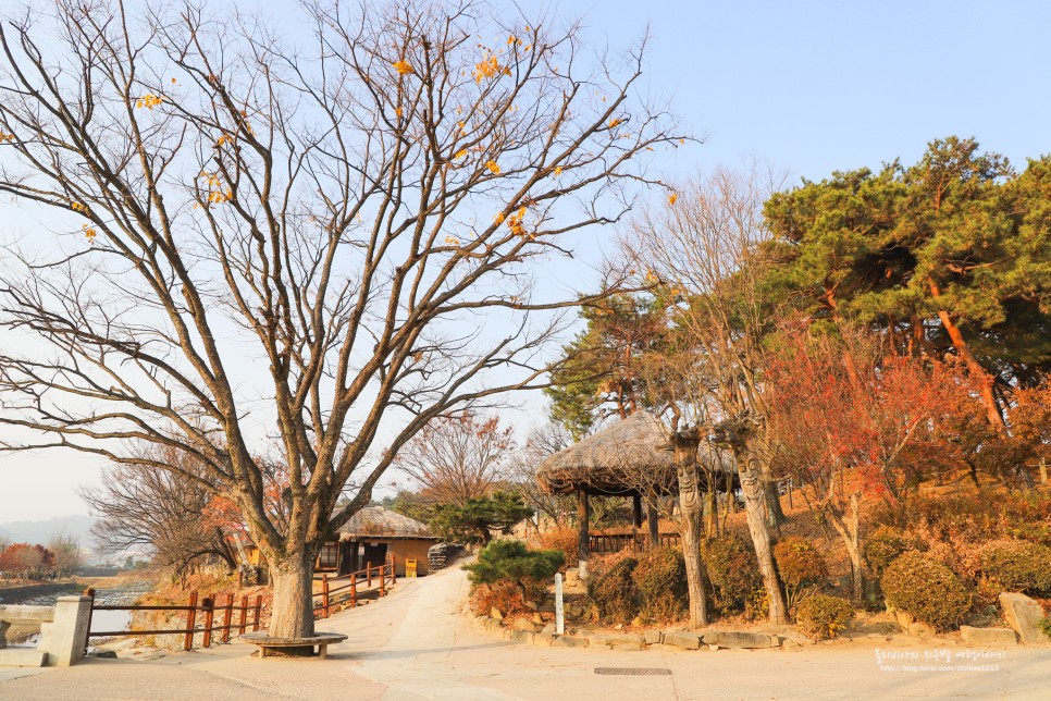 서울근교여행 아산 외암민속마을 아이들도 좋아해요 :)