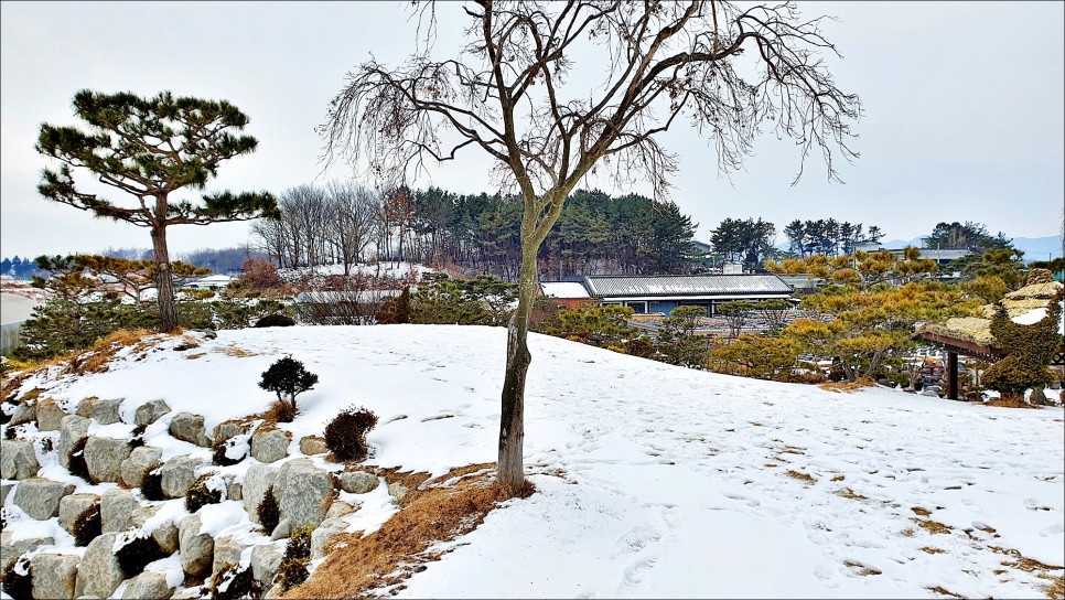 전주 한옥마을 코스 사진찍기 좋은 전주난장