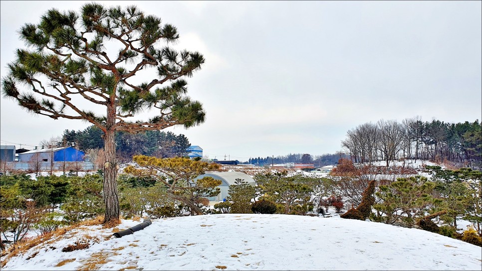 전주 한옥마을 코스 사진찍기 좋은 전주난장