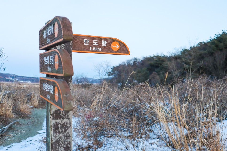 서울근교 드라이브코스 대부도 갈만한곳 탄도항 & 대부광산퇴적암층