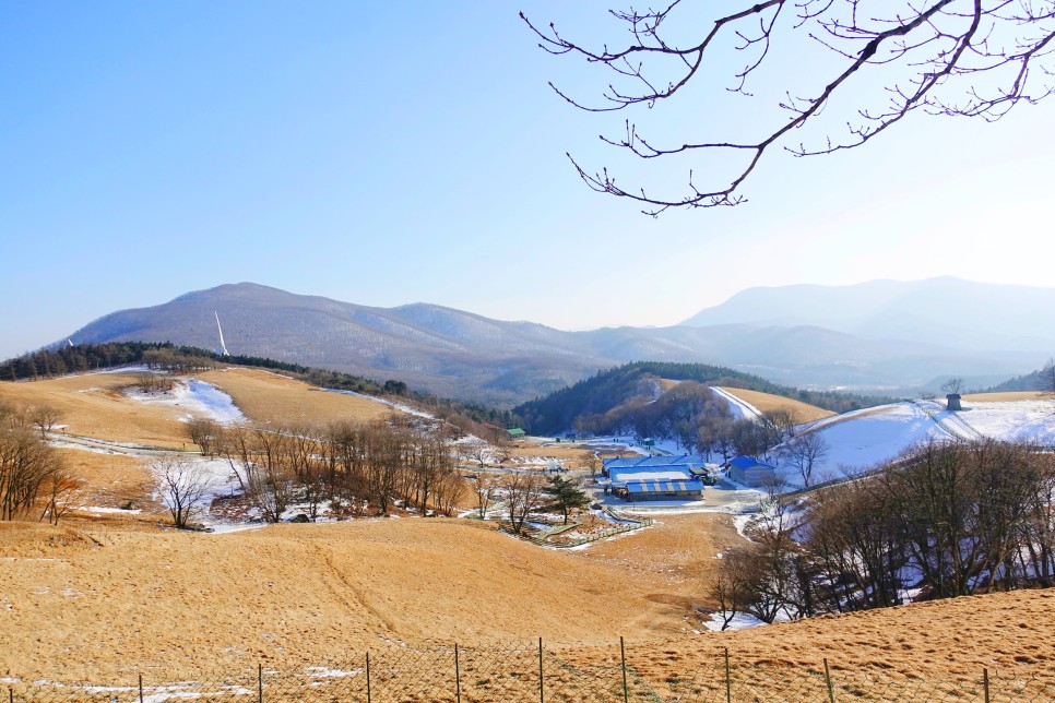 국내 1박2일 여행 강원도 대관령 양떼목장과 평창 숙소에서 호캉스