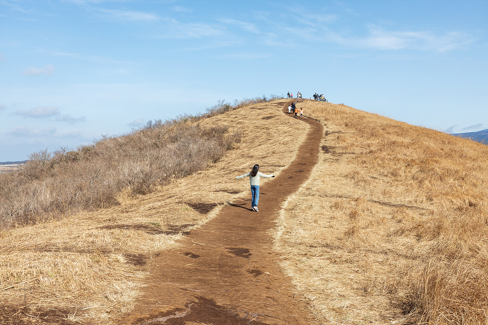 제주도 여행코스 서쪽 가볼만한곳 관광지, 카페 모음