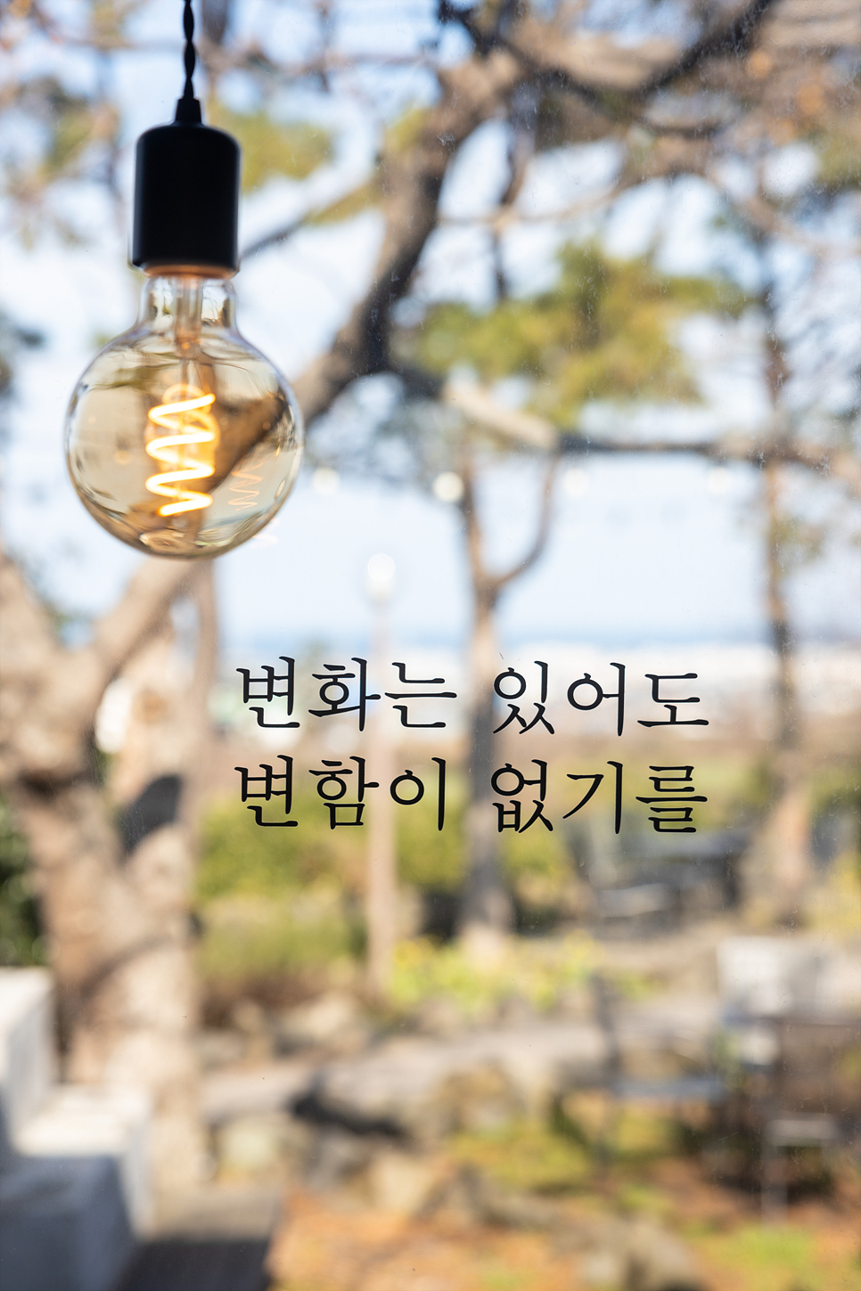 제주도 여행코스 서쪽 가볼만한곳 관광지, 카페 모음