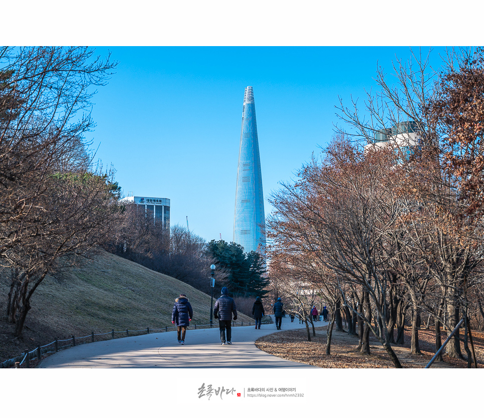 서울 여행 코스 올림픽공원 나홀로나무, 서울명소 주말나들이