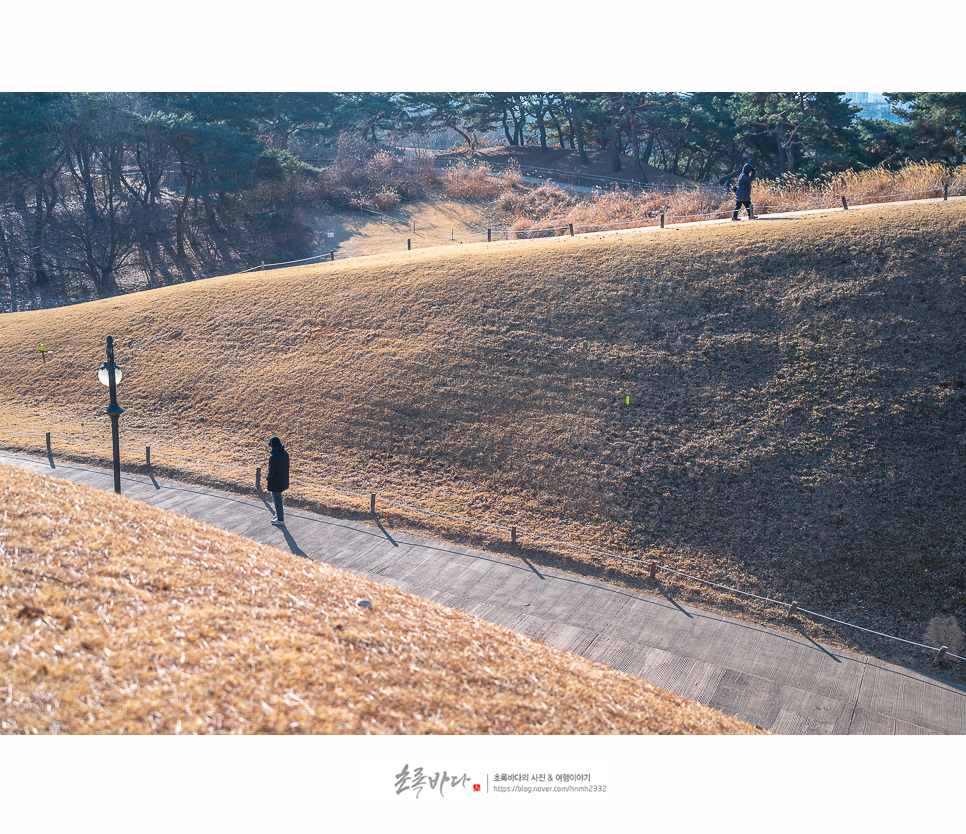 서울 여행 코스 올림픽공원 나홀로나무, 서울명소 주말나들이