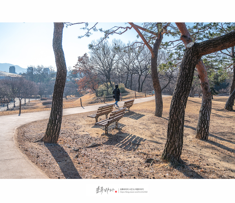 서울 여행 코스 올림픽공원 나홀로나무, 서울명소 주말나들이