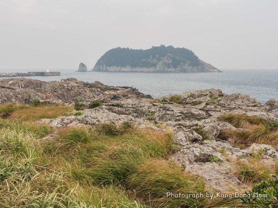 제주도 렌트카 가격비교 후 최대 할인 받는 꿀팁 전기차도 문제없어