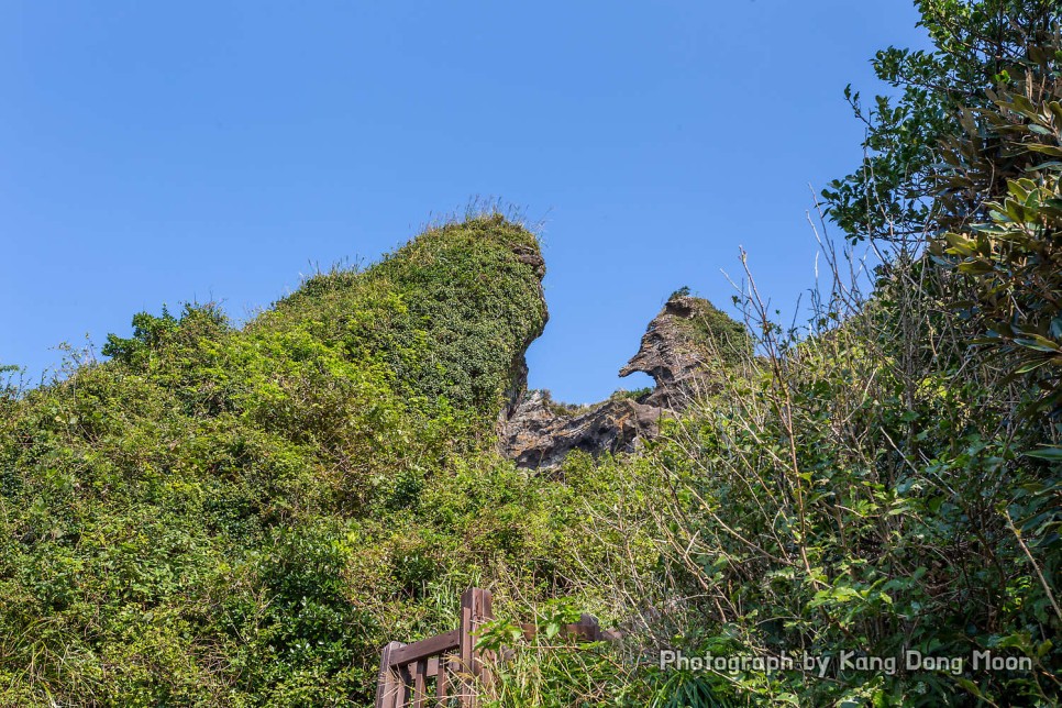 제주도 관광지 가장 유명한 제주 가볼만한곳 성산일출봉