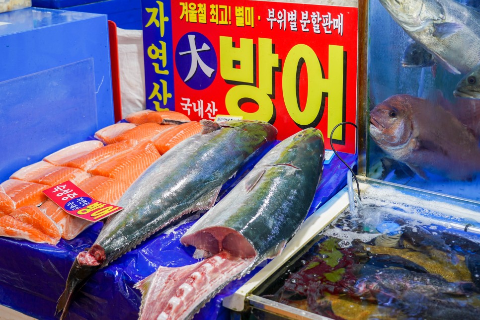 노량진수산시장 맛집 푸른바다 대방어 모듬회 회포장