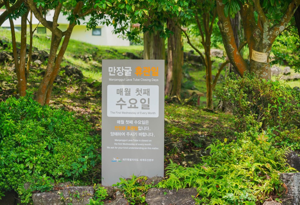 제주 비오는날 제주도 만장굴 (+입장료 소요시간)