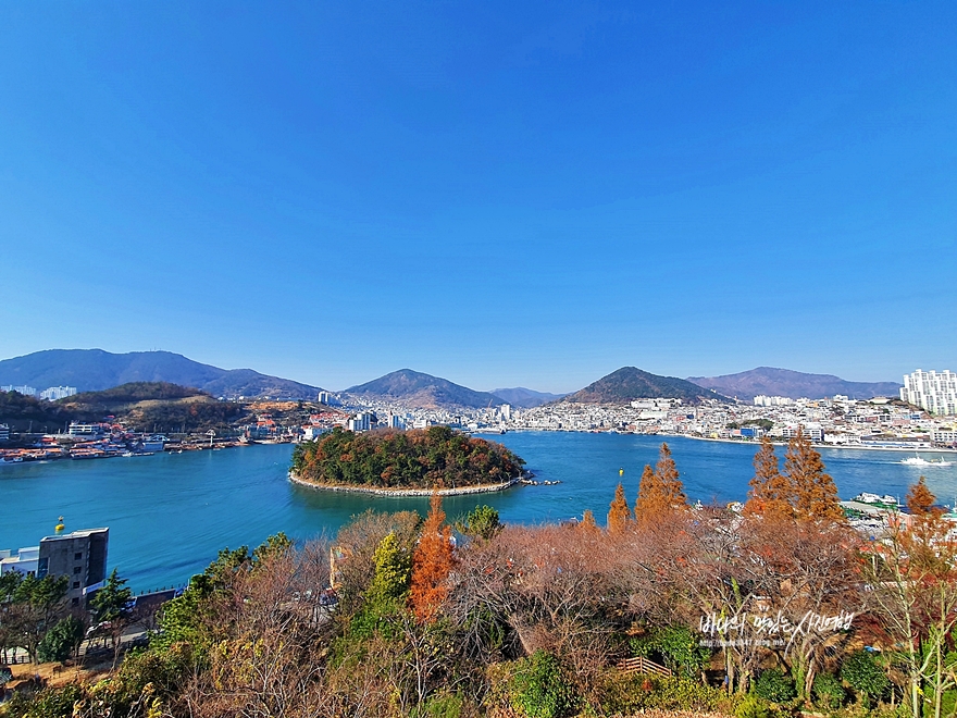 여수 여행 동백꽃 아름다운 돌산공원