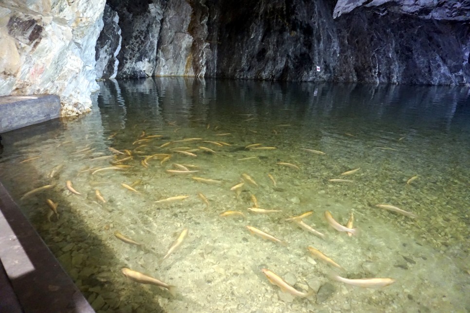 충청도 여행 충주 활옥동굴 겨울이 더 좋아