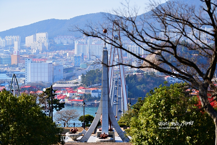 여수 여행 동백꽃 아름다운 돌산공원