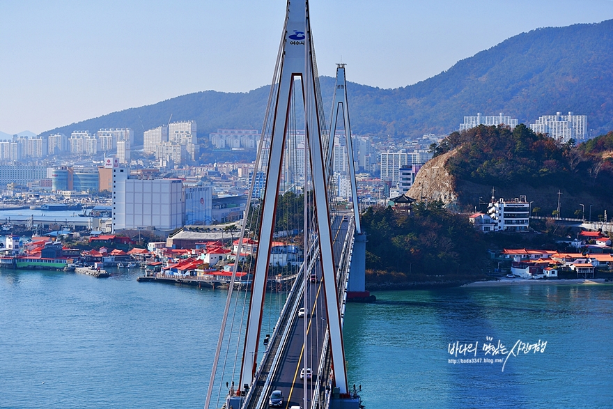 여수 여행 동백꽃 아름다운 돌산공원