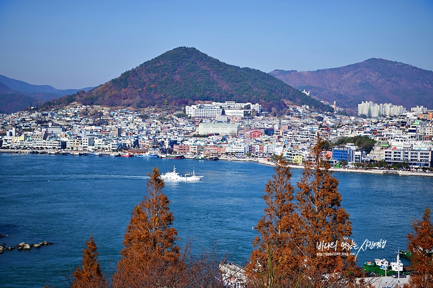 여수 여행 동백꽃 아름다운 돌산공원