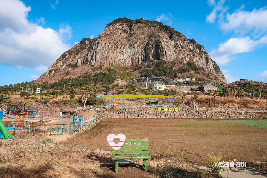 제주 산방산 유채꽃 보고 제주도 용머리해안 산책