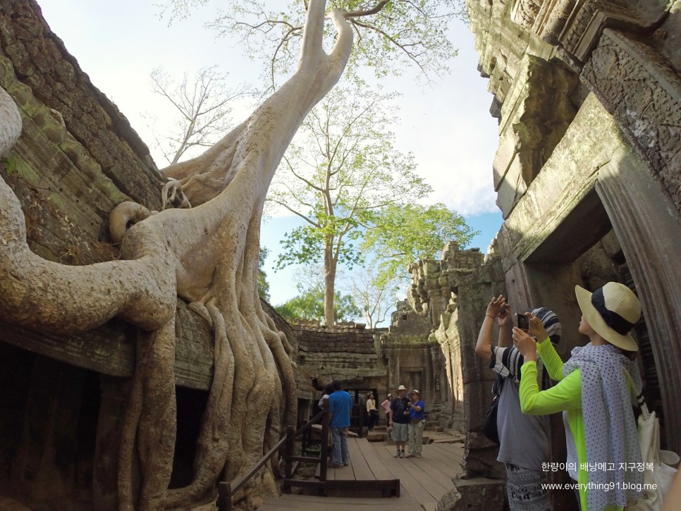 캄보디아 여행 앙코르와트 유적 크메르 제국 1000년의 혼