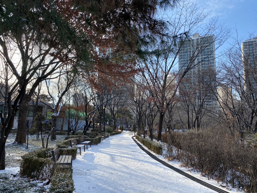 서울 산책하기좋은곳 잠실 석촌호수 서호 매직아일랜드 뷰