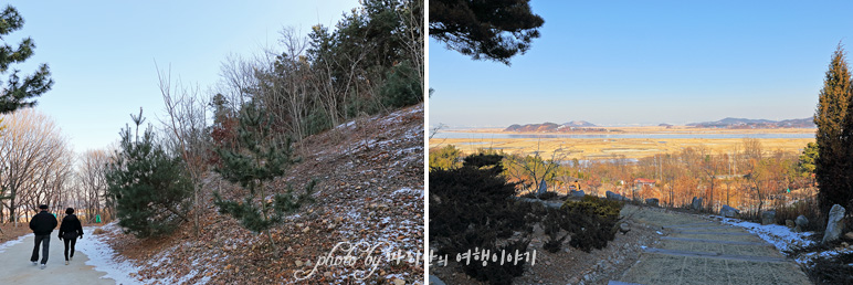 서울근교 데이트코스 안산 대부도 바다향기 수목원,경기도 여행