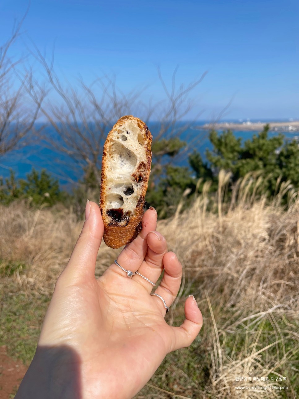 제주도 빵지순례 르에스까르고 미쳤다.......