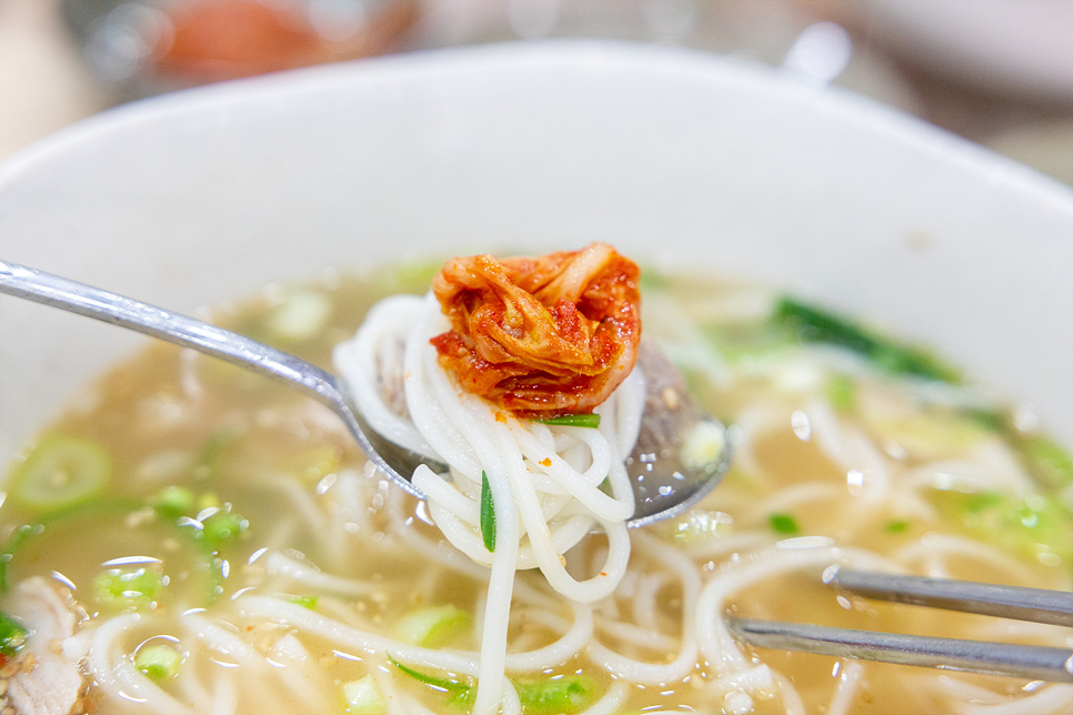 제주 여행 먹거리 올래국수 VS 자매국수 맛대맛