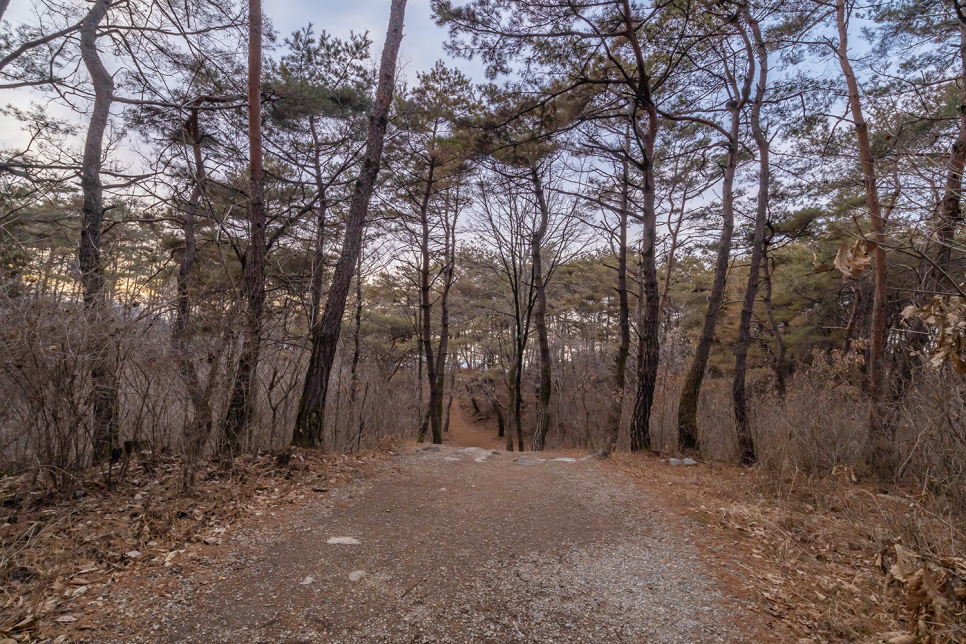 영월 가볼만한곳 1위 ⛺ 한반도지형 전망공원 다녀왔어요!