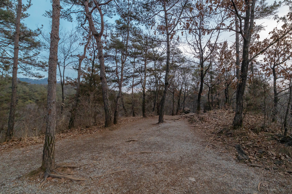 영월 가볼만한곳 1위 ⛺ 한반도지형 전망공원 다녀왔어요!