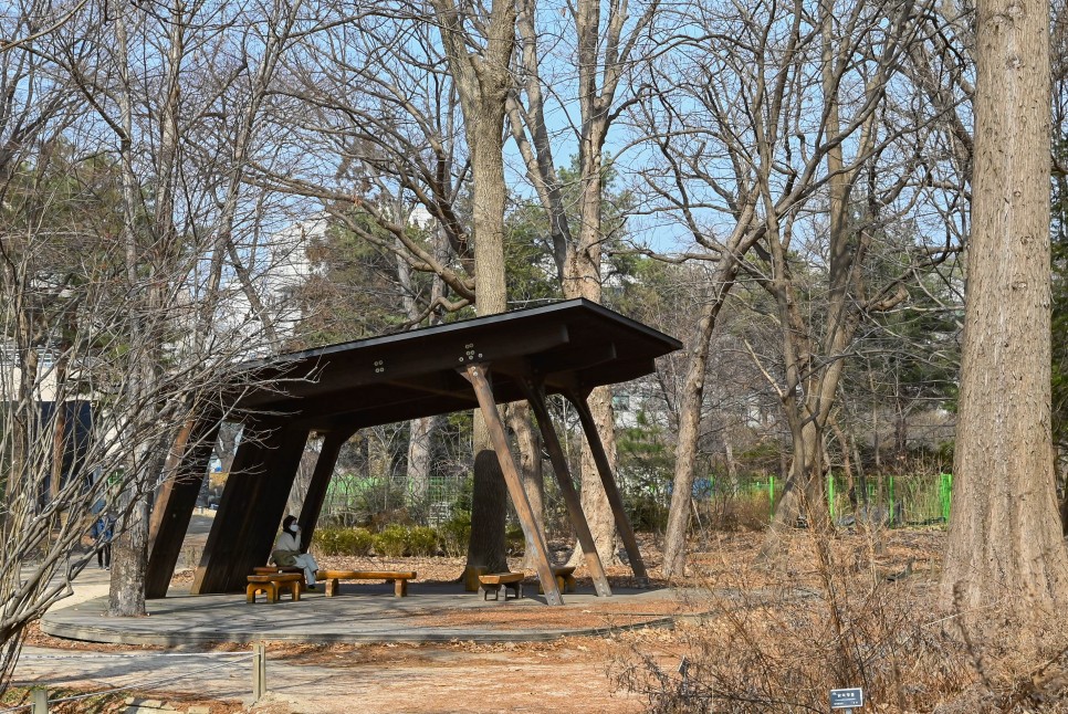 한국 최초의 수목원 홍릉수목원(홍릉숲) 서울 숲길