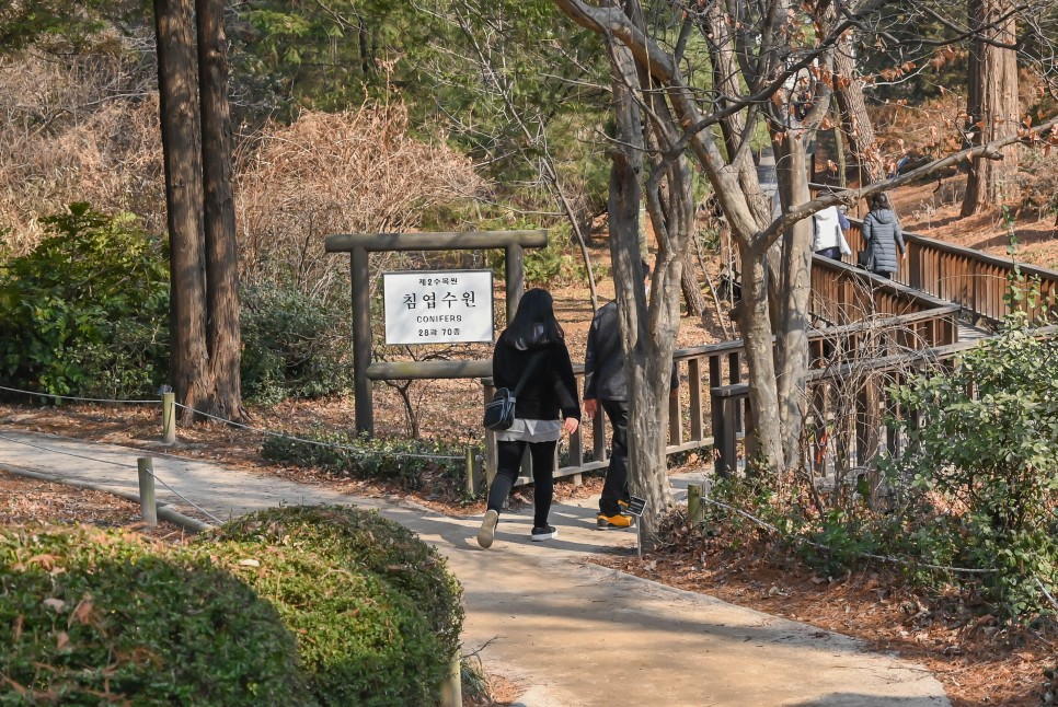 한국 최초의 수목원 홍릉수목원(홍릉숲) 서울 숲길