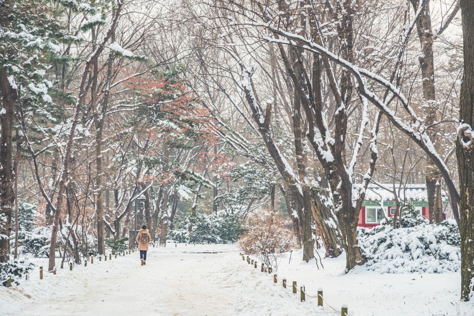 늦겨울에 느끼는 고궁의 정취, 서울 고궁투어 :: 경복궁, 창덕궁, 창경궁, 덕수궁, 종묘