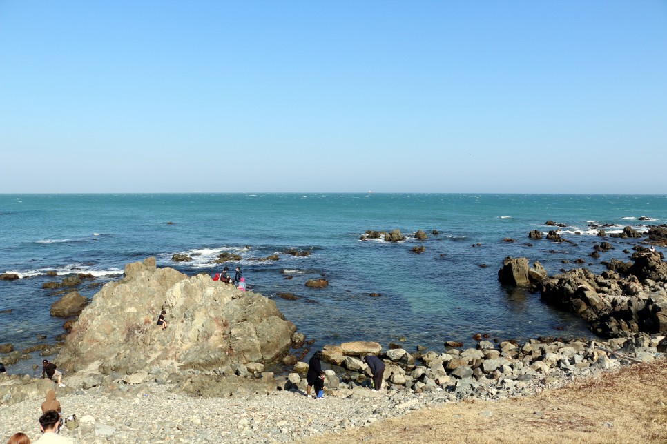 제주도 가족여행, 제주 렌트카 타고 떠나는 서귀포 여행코스!