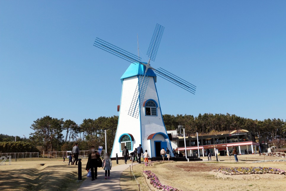 울산 가볼만한곳 산책로가 좋은 울산 간절곶