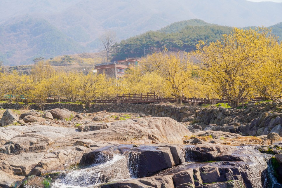 국내여행지 추천 전남 구례 가볼만한곳 산수유마을(산수유축제 취소)