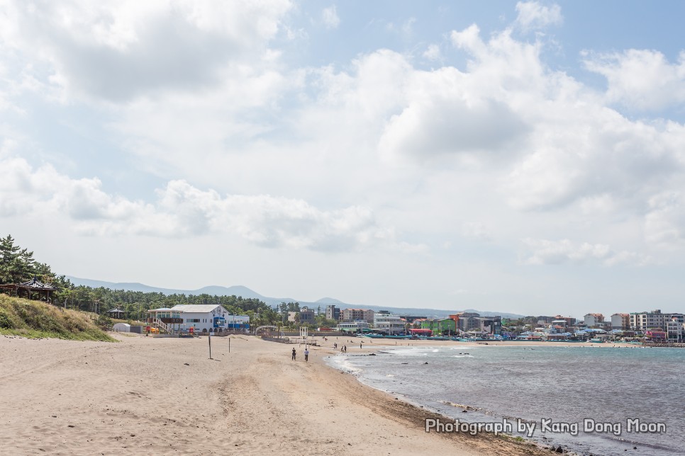 제주도 2박3일 여행코스 한라산 사려니숲길 이호테우해수욕장 등 멋진 제주도관광