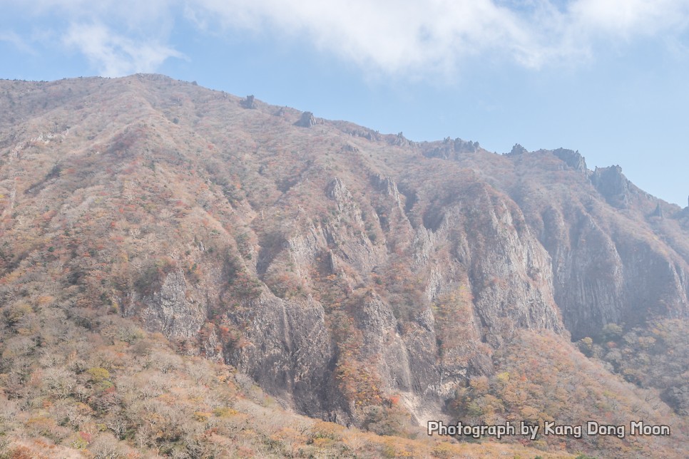 제주도 2박3일 여행코스 한라산 사려니숲길 이호테우해수욕장 등 멋진 제주도관광