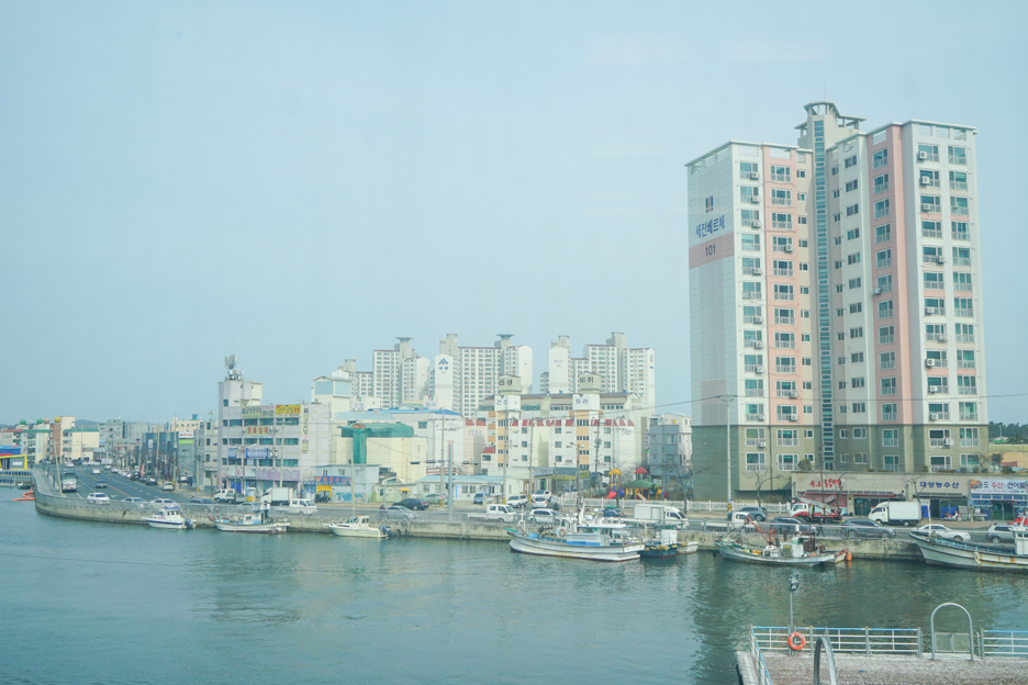 포항 죽도시장 대게거리 등 먹거리 정리