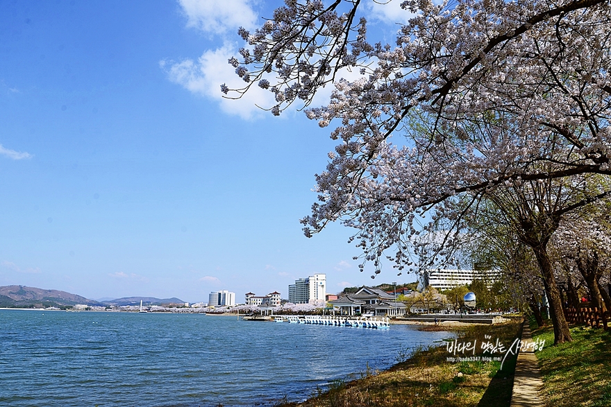 경주 가볼만한곳 7곳 골라봤어요