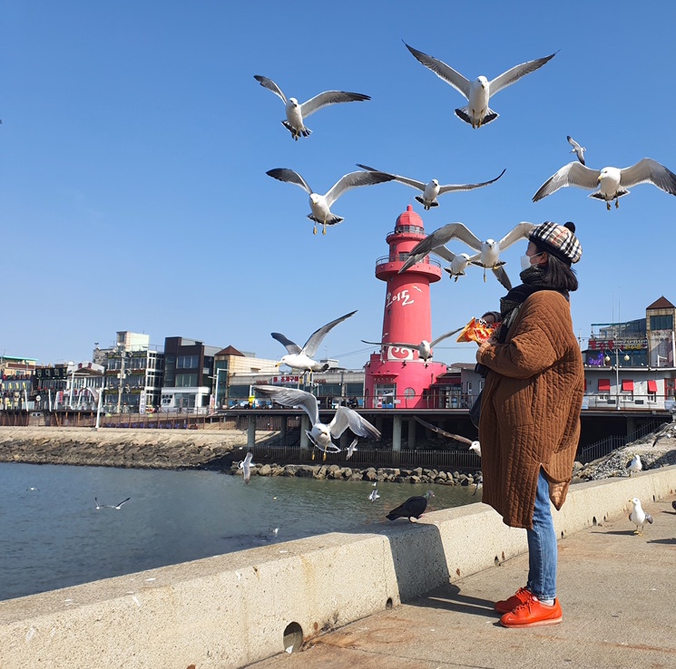 서울근교 당일치기 여행 기안84 해물라면 먹고 인천 오이도 빨간등대 산책